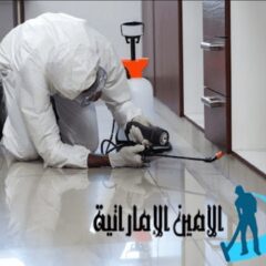 شركة مكافحة حشرات في ابوظبي