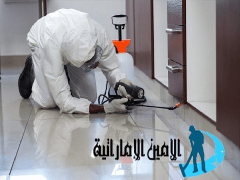شركة مكافحة حشرات في ابوظبي