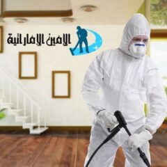 شركة مكافحة حشرات في رأس الخيمة