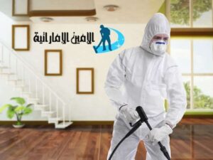 شركة مكافحة حشرات في رأس الخيمة