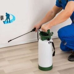 شركة مكافحة حشرات في عجمان