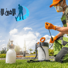 شركة مكافحة حشرات في دبي