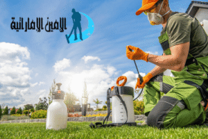 شركة مكافحة حشرات في دبي