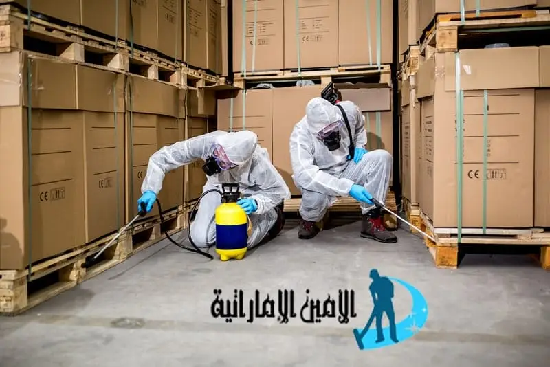 شركة مكافحة النمل الابيض في الشارقة