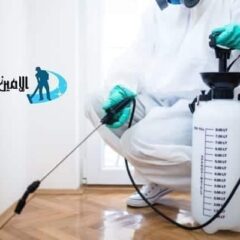 شركة مكافحة حشرات في العين