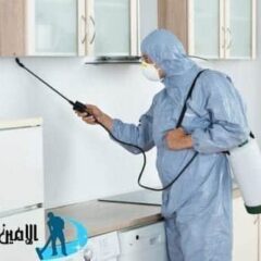 شركة مكافحة حشرات في الفجيرة