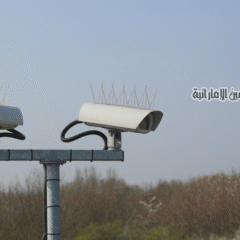 شركة مكافحة الحمام في أبوظبي