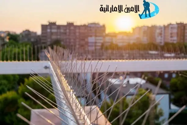 تركيب سلك طارد للحمام في العين